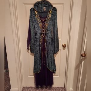 Hocus Pocus Costume- Winifred